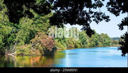 Schöne Szene von blauer Wasseroberfläche mit Wellen. Farbenfrohe Spiegelung aus gefallener Buche. Ruhiger ländlicher Teich, grüne Bäume und klarer Himmel. Smyslov, Tschechien. Stockfoto