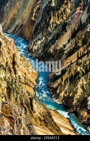 Grand Canyon des Yellowstone Stockfoto