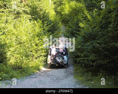 Ein überdachloser Jeep befördert Passagiere auf einer Schotterstraße hinein Die Mitte des dichten grünen Laubwaldes im Sommer Tag Stockfoto