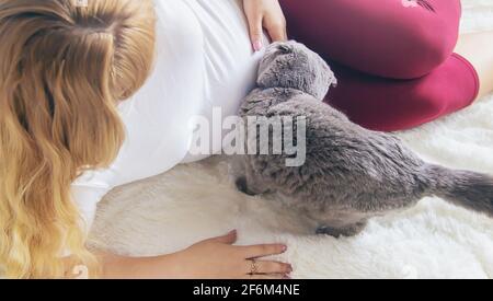 Eine schwangere Frau mit einer Katze liegt im Bett. Selektiver Fokus. Tier. Stockfoto