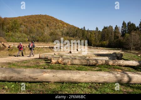 Touristen auf der touristischen Route zu den Duszatyn Seen Bieszczady, Ostkarpaten, Polen, Europa Stockfoto