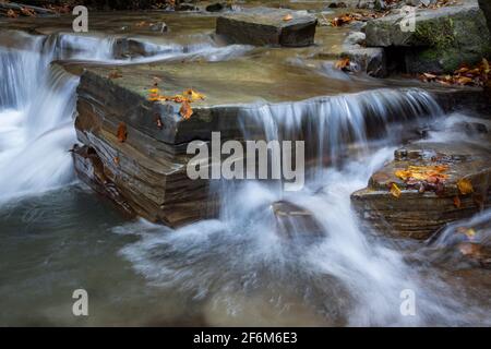 Bergbach und kleiner Wasserfall auf dem Wanderweg zu den Duszatyn Seen. Bieszczady, Ostkarpaten, Polen, Europa Stockfoto