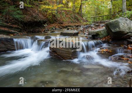 Bergbach und kleiner Wasserfall auf dem Wanderweg zu den Duszatyn Seen. Bieszczady, Ostkarpaten, Polen, Europa Stockfoto