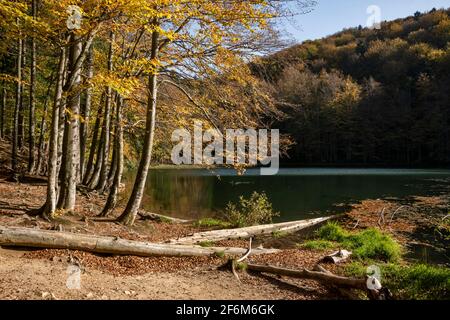 Duszatyn Lakes. Bieszczady, Ostkarpaten, Polen, Europa Stockfoto