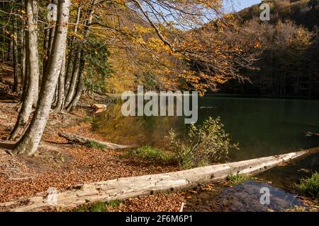 Duszatyn Lakes. Bieszczady, Ostkarpaten, Polen, Europa Stockfoto