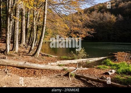 Duszatyn Lakes. Bieszczady, Ostkarpaten, Polen, Europa Stockfoto