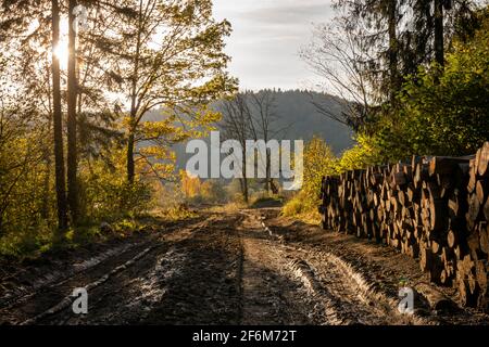 Touristenroute von den Duszatyn Seen nach Duszatyn. Bieszczady, Ostkarpaten, Polen, Europa Stockfoto