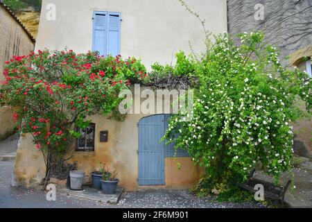 Typische Provençal Hausfassade im historischen Dorf Cadenet, Vaucluse Provence-Alpes-Côte d'Azur, Frankreich. Stockfoto