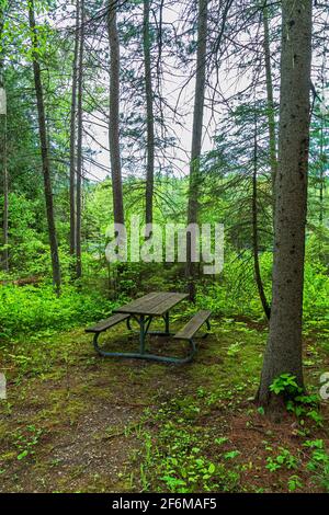 Lake McGinnis Petroglyphs Conservation Area Ontario Canada im Sommer Stockfoto