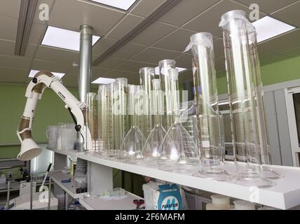 Die sauberen Laborutensilien. Stockfoto