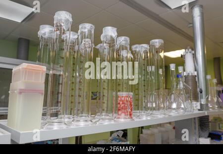 Die sauberen Laborutensilien. Stockfoto