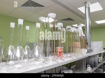 Die sauberen Laborutensilien. Stockfoto