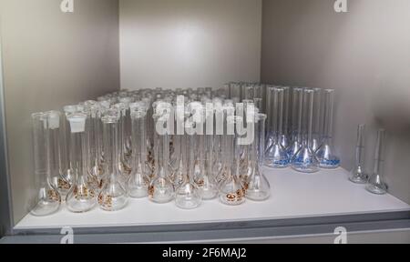 Die sauberen Laborutensilien. Stockfoto