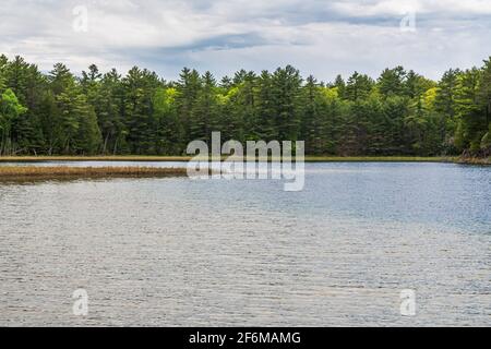 Lake McGinnis Petroglyphs Conservation Area Ontario Canada im Sommer Stockfoto