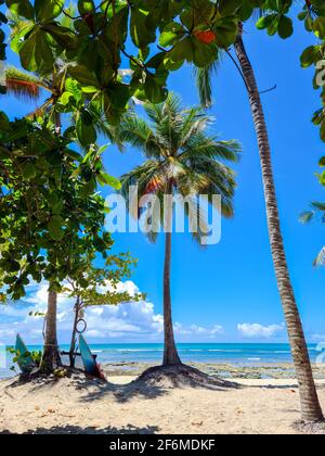 Pitinga Beach, Arraial d'Ajuda ist ein Bezirk der brasilianischen Gemeinde Porto Seguro, an der Küste des Staates Bahia. Stockfoto