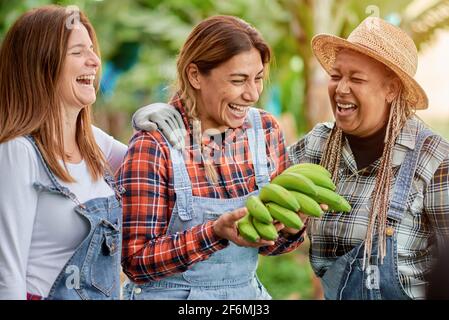 Glückliche multirassische Frauen, die zusammen Spaß haben - Generationenfreunde lächeln Arbeiten auf einer Bananenplantage - Schwerpunkt auf der Gesicht der Latina Stockfoto