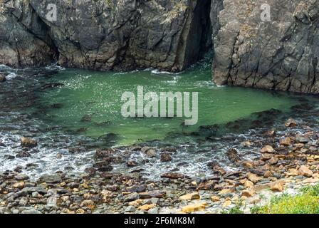 Meerwasser strömt durch eine Spalte in Felsbrocken und erzeugt einen Tidepool am Ufer des Harris Beach State Park im Pazifischen Nordwesten, Oregon, USA. Stockfoto