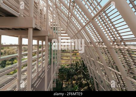 Der Umm Al Emarat Park in Abu Dhabi, Vereinigte Arabische Emirate, ist ein urbaner, entspannender Park mit modernem Design Stockfoto