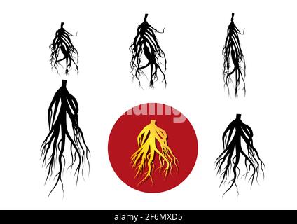 Set von Ginseng Symbol und Silhouette, Vektor-Art-Design Stock Vektor