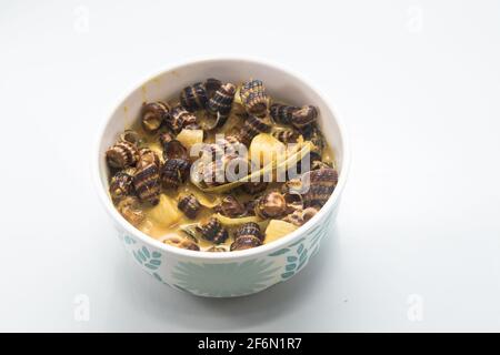 Traditionelle malaiische Gerichte mit Meeresschnecke in Kokosnusscreme oder „Siput sedut Masak Lemak Cili API“. Sein wissenschaftlicher Name ist Cerithidea obtusa, eine Meeresart Stockfoto
