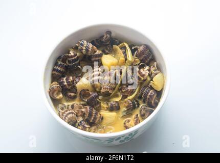 Traditionelle malaiische Gerichte mit Meeresschnecke in Kokosnusscreme oder „Siput sedut Masak Lemak Cili API“. Sein wissenschaftlicher Name ist Cerithidea obtusa, eine Meeresart Stockfoto