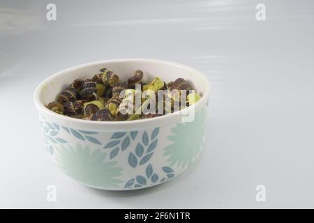 Traditionelle malaiische Gerichte mit Meeresschnecke in Kokosnusscreme oder „Siput sedut Masak Lemak Cili API“. Sein wissenschaftlicher Name ist Cerithidea obtusa, eine Meeresart Stockfoto