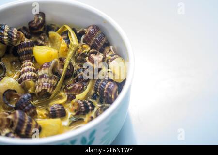 Traditionelle malaiische Gerichte mit Meeresschnecke in Kokosnusscreme oder „Siput sedut Masak Lemak Cili API“. Sein wissenschaftlicher Name ist Cerithidea obtusa, eine Meeresart Stockfoto