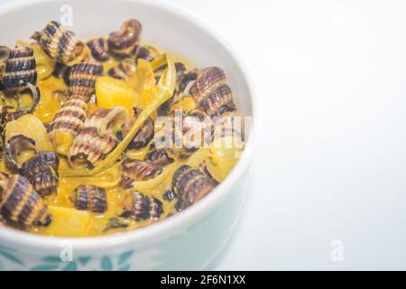 Traditionelle malaiische Gerichte mit Meeresschnecke in Kokosnusscreme oder „Siput sedut Masak Lemak Cili API“. Sein wissenschaftlicher Name ist Cerithidea obtusa, eine Meeresart Stockfoto