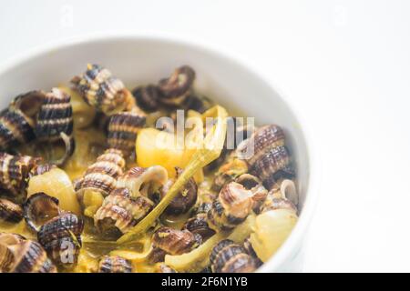 Traditionelle malaiische Gerichte mit Meeresschnecke in Kokosnusscreme oder „Siput sedut Masak Lemak Cili API“. Sein wissenschaftlicher Name ist Cerithidea obtusa, eine Meeresart Stockfoto