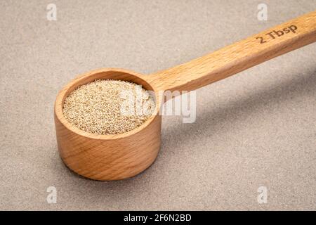 Glutenfreies Elfenbein-Teff-Korn in einem hölzernen Messlöffel, wichtiges Lebensmittelkorn in Äthiopien und Eritrea Stockfoto