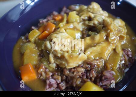 Japanisches Essen, hausgemachtes, geschnittenes Rind-Curry-Reis Stockfoto