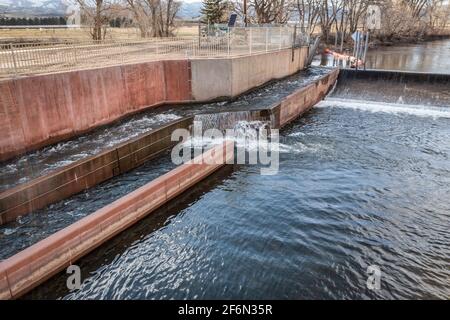 Fischleiter am Wasserableitdamm - Watson Lake Dam am Poudre River im Norden Colorados, Luftaufnahme der Landschaft im frühen Frühling, Wildtiermanagement Stockfoto