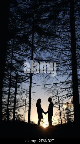 Von unten Blick auf Silhouetten von liebenden Paar posiert in Abend Fichtenwald. Wilde Natur mit herrlicher Aussicht, warmer schöner Sonnenuntergang im Sommer, Mann und Frau halten die Hände und fühlen sich glücklich. Stockfoto