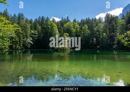 Schöner kristallklarer See im Wald der Bayerischen Alpen, Deutschland Stockfoto