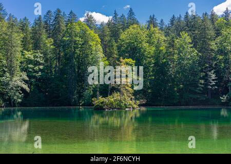 Schöner kristallklarer See im Wald der Bayerischen Alpen, Deutschland Stockfoto