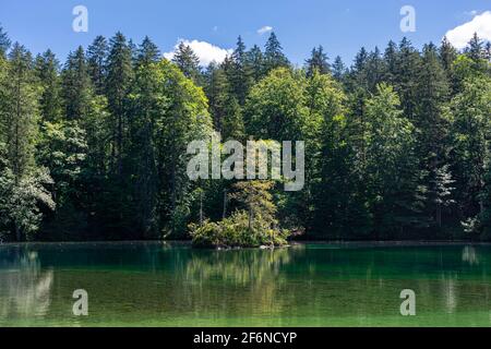 Schöner kristallklarer See im Wald der Bayerischen Alpen, Deutschland Stockfoto