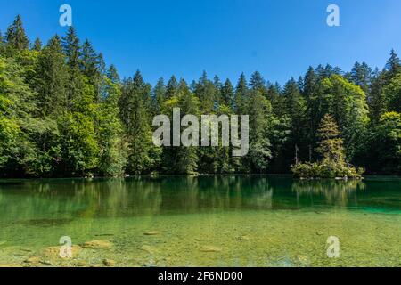 Schöner kristallklarer See im Wald der Bayerischen Alpen, Deutschland Stockfoto