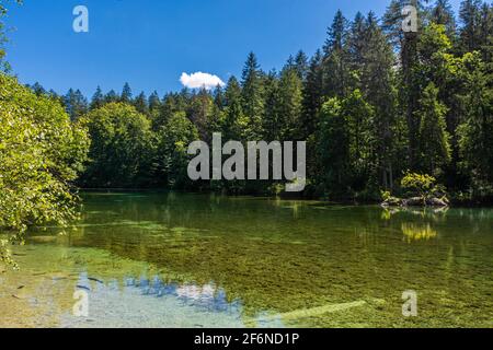 Schöner kristallklarer See im Wald der Bayerischen Alpen, Deutschland Stockfoto