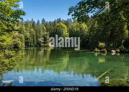 Schöner kristallklarer See im Wald der Bayerischen Alpen, Deutschland Stockfoto