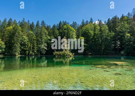 Schöner kristallklarer See im Wald der Bayerischen Alpen, Deutschland Stockfoto