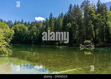 Schöner kristallklarer See im Wald der Bayerischen Alpen, Deutschland Stockfoto