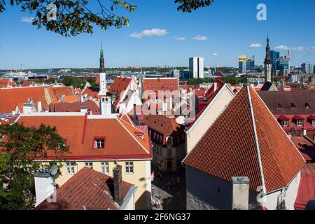 Tallinn, Estland - 28. Juni 2019: Rote Dächer von Altstadtgebäuden. Draufsicht Stockfoto