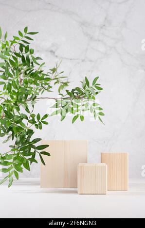 Eco natürlichen Stil für Präsentation und Display Produkt - Holz Podien mit grünem Ast von Baum in Sonnenlicht auf weiß Holzbrett und graue Marmorwand Stockfoto