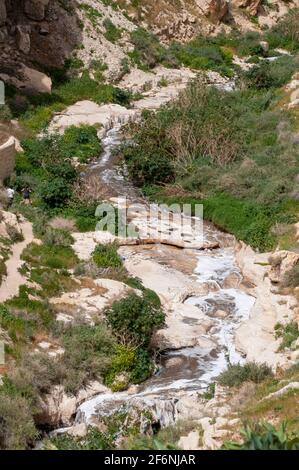 Der Kidron-Strom fließt von Jerusalem zum Toten Meer. Der Strom in diesem Strom besteht hauptsächlich aus Kanalisation und Abwasser aus Jerusalem und Nachbarschaft Stockfoto