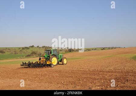 Landwirt fährt einen Kultivierenden, um die Erde vor dem Pflanzen oder Aussaat zu bepflanzen. Ein Kultivator ist eine von mehreren Arten von landwirtschaftlichen Arbeitsgeräten, die für die sekundäre Kasse verwendet werden Stockfoto