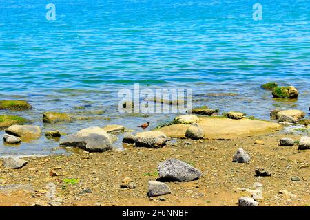 obhur jeddah Beach Stockfoto