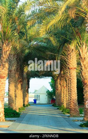 obhur jeddah Beach Stockfoto
