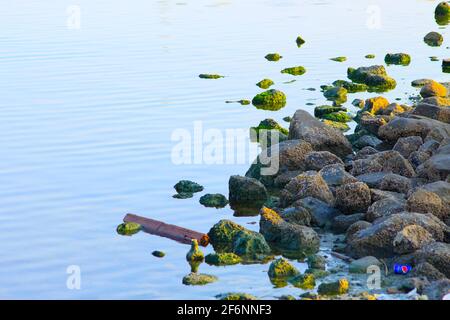 obhur jeddah Beach Stockfoto