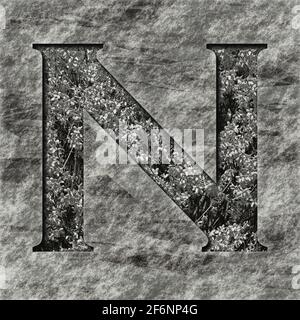 Quadratische Grafik: Großbuchstabe mit dem Großbuchstaben N, ein tiefes Relief auf mit Pflanzen gefülltem Stein