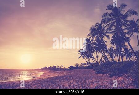 Silhouetten von Kokospalmen an einem tropischen Strand bei Sonnenuntergang, Farbtonung angewendet. Stockfoto
